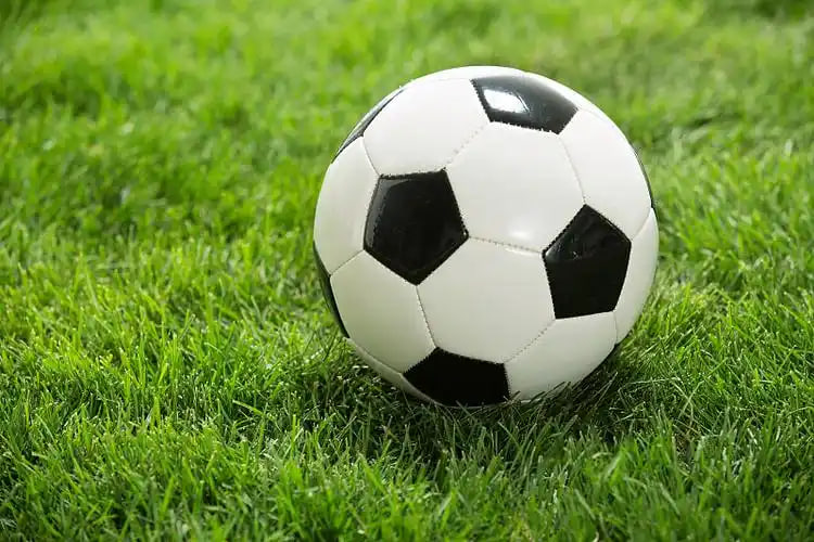 赛事组织者使用场景